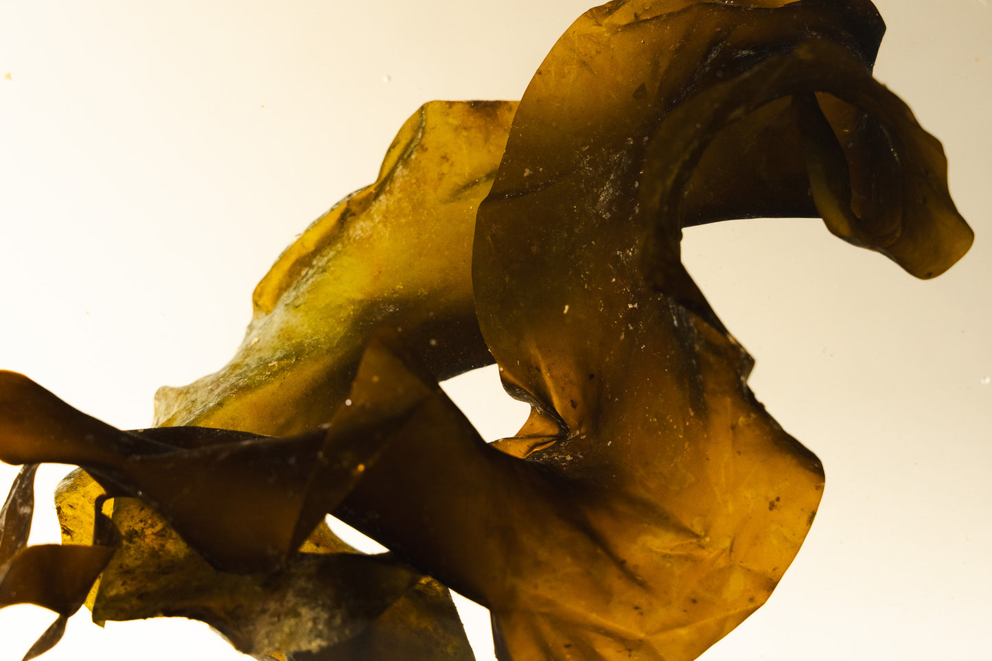 Seaweed Seasonings (Wakame)