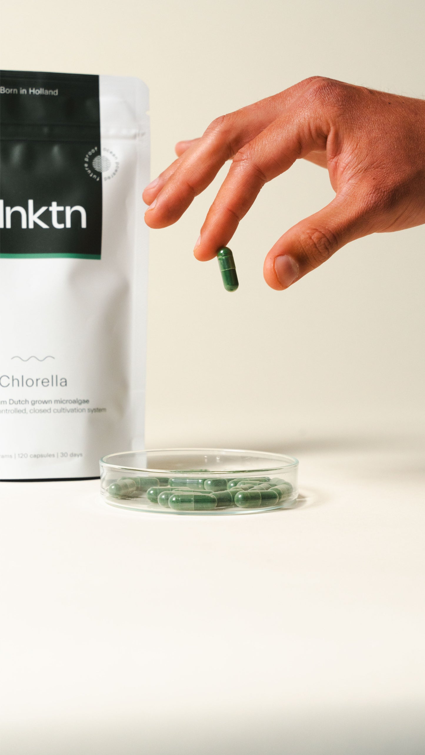 Chlorella