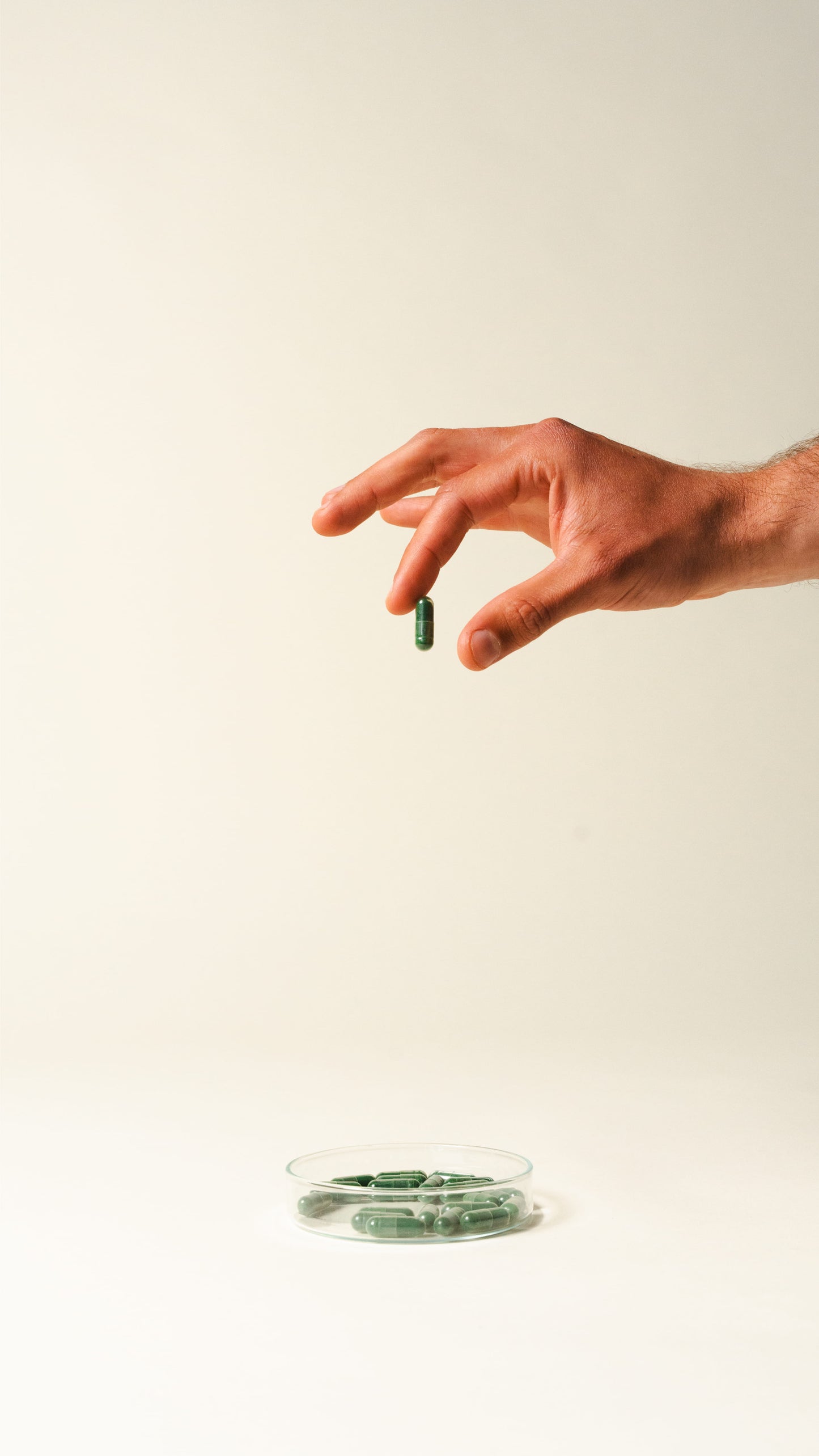 Chlorella