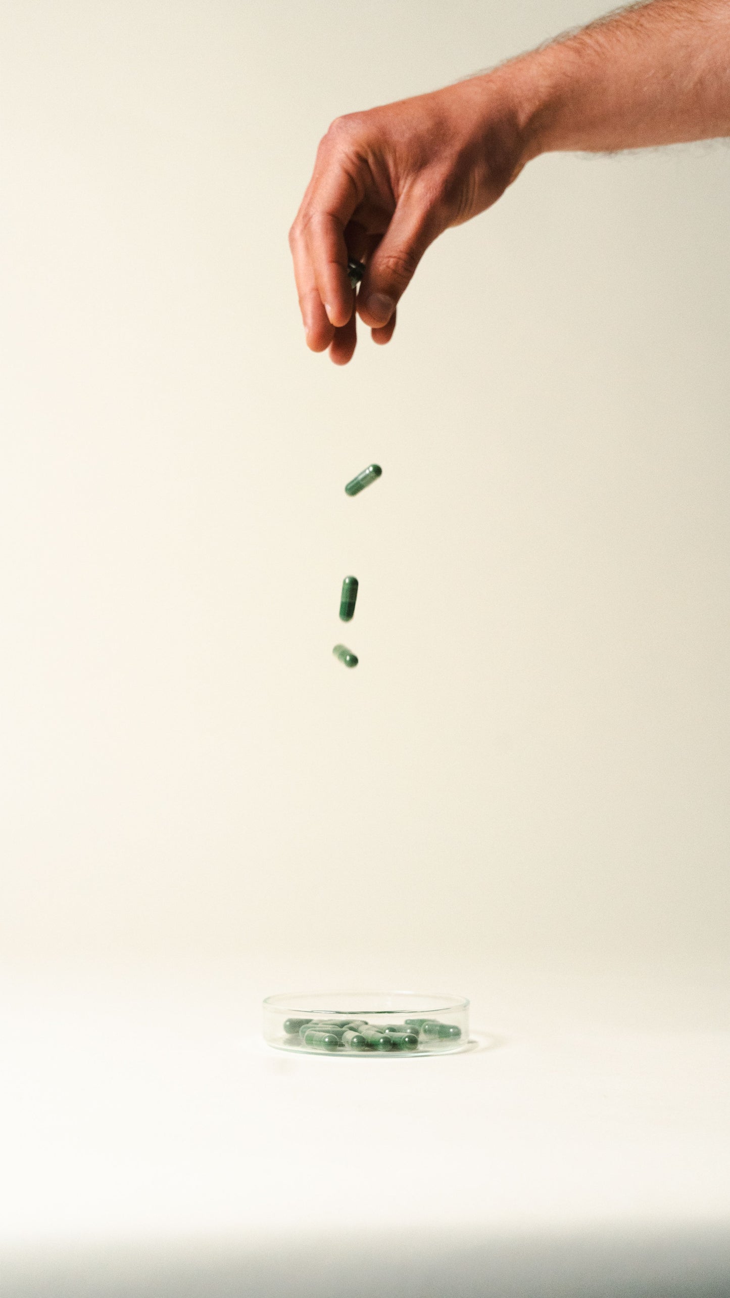 Chlorella