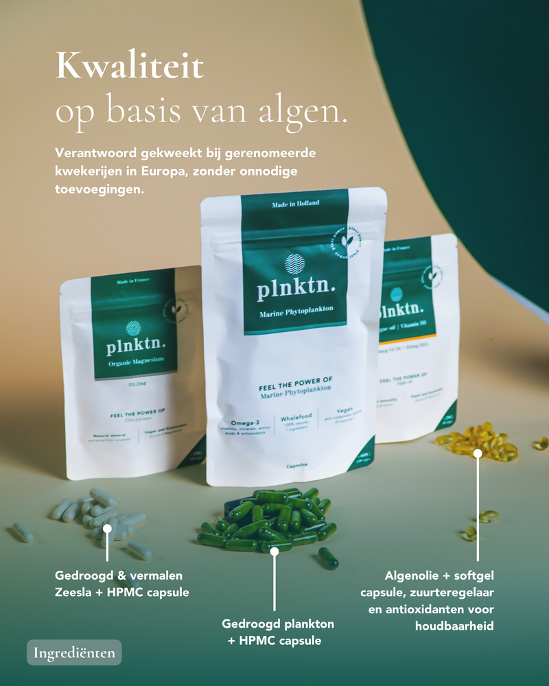 plnktn. Basics Bundle (60 days)