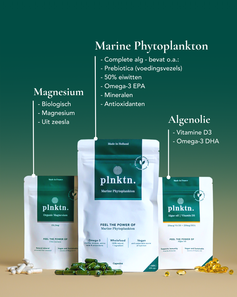 plnktn. Basics Bundle (60 days)