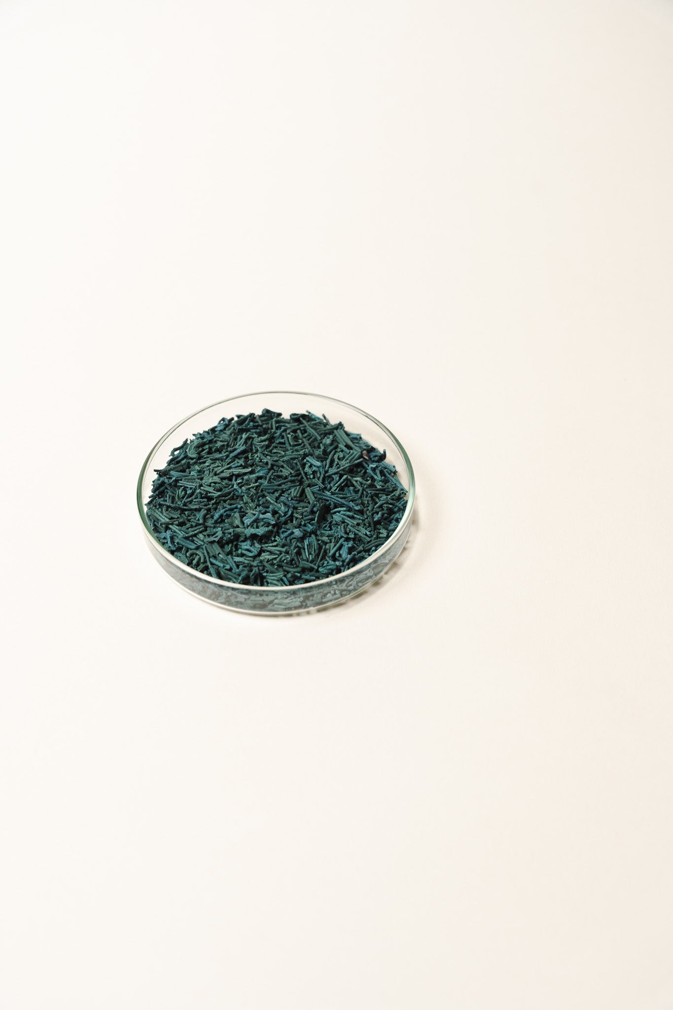 Spirulina Nibs