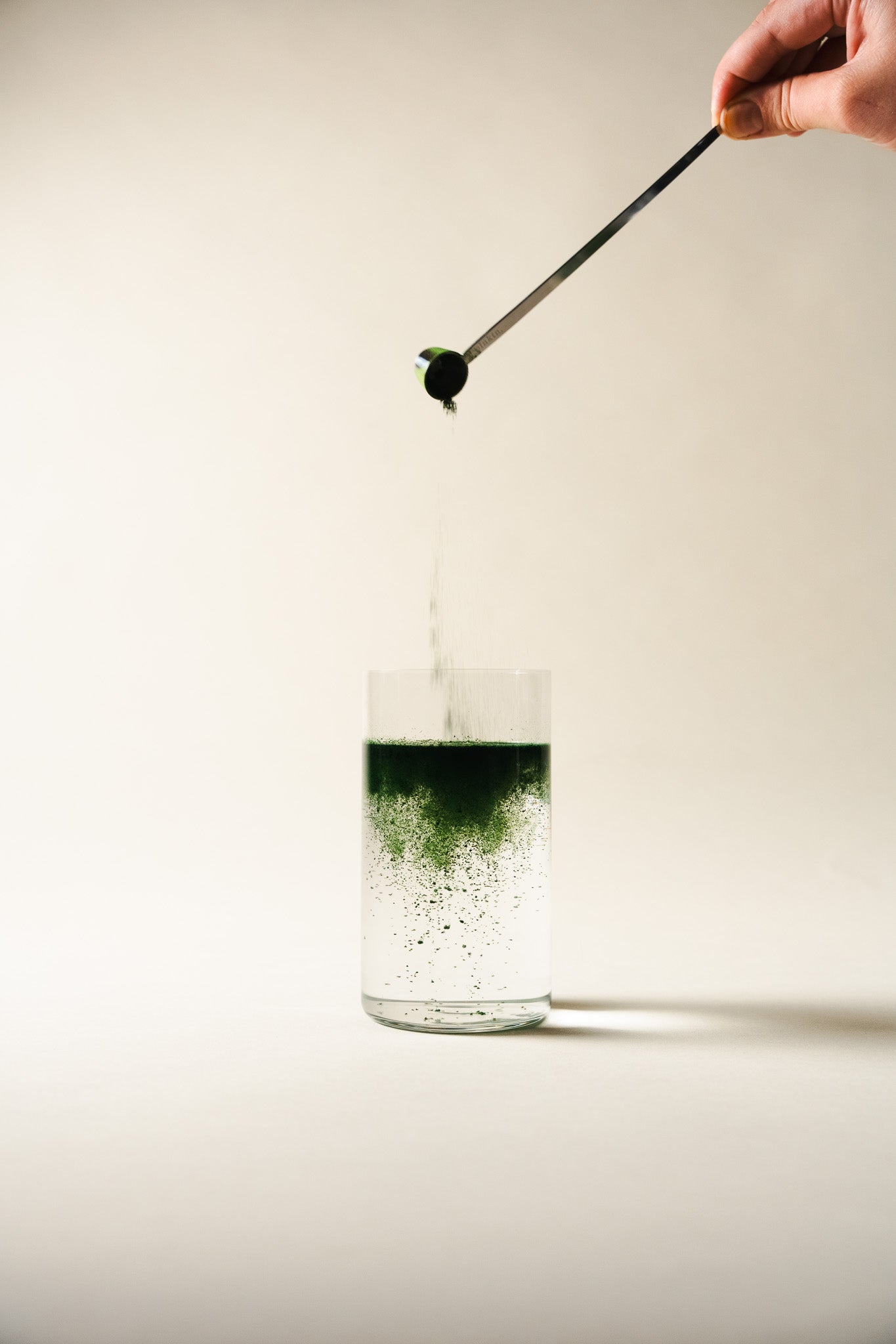 Plankton Powder