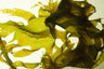 Wakame