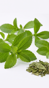 Stevia