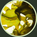 100% plantaardig — geen dierlijke of synthetische ingrediënten