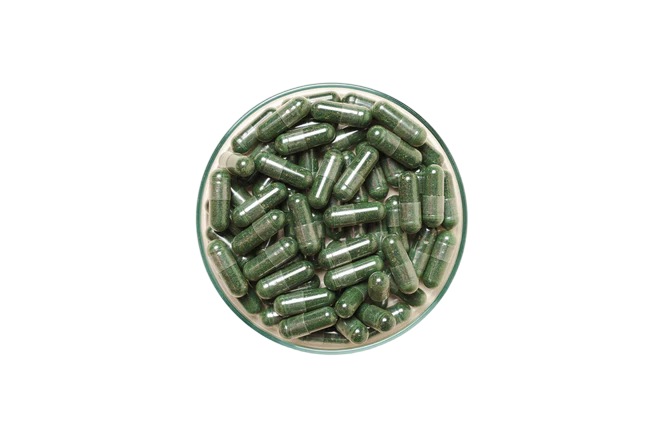 Een kom met plnktn algencapsules